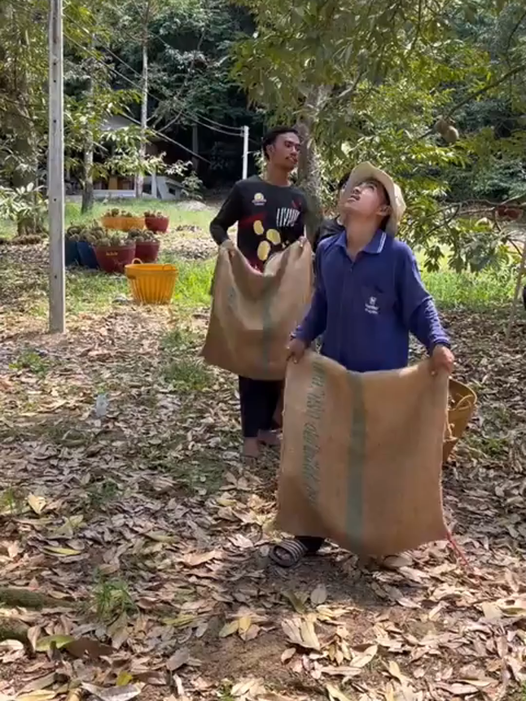 Catching Durian at High Speeds