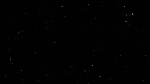 عمري هلك مايرضون🥲✨#شاشة_سوداء #تصاميم_فيديوهات🎵🎤🎬 #سامي_ابو_سمره #fyp #اغاني_عراقيه 