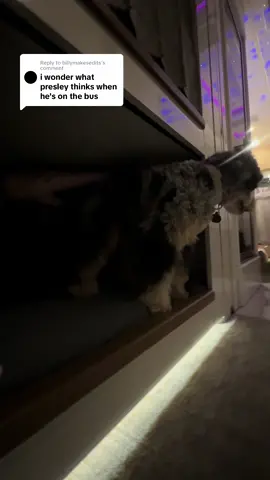 Replying to @billymakesedits great question