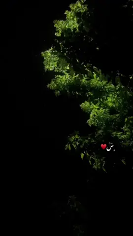 #اكتب_شي_توجر_عليه #اجر_لي_ولكم #fyp #foryou #viral #اكسبلورر #قيام_الليل #بدون_موسيقى #اكسبلورexplore 