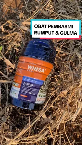 winsa, Herbisida kontak efektif untuk mengendalikan gulma yang sudah tumbuh, terutama yang berada di permukaan tanah atau yang mudah terlihat #winsa  #obatrumput  #obatpertanian 