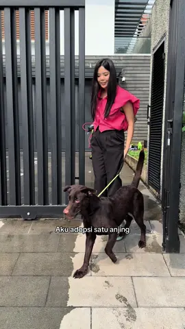 BOBA SUDAH TERADOPSI YA🥰🙏