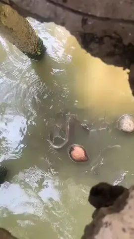 Nghe học sinh kể cũng nhiều rồi… 🤣  #mientay #cầutỏm #catre 