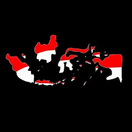 Ilustrasi peta indonesia by : lynxx art #virall #lynxxart #peta #indonesiaemas #ilustrasi #trending 