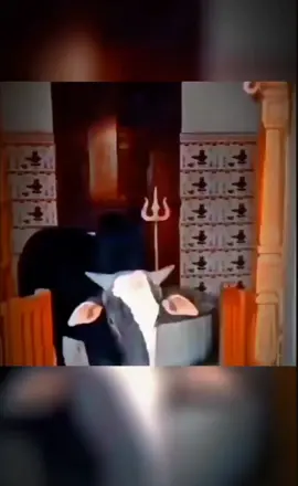 #fyp #nepal #🙏❤️🇳🇵 #HarHar mahadev #🙏🔱🕉️🇳🇵🕉️   see more 