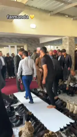 #barzani #mansorbarzani #بارزانى_ناسنامه_گةلى_كوردة💛 #sherwani #nazir_sherwanii #erbil #soran #pirmam #mergasor #mashudbarzani 