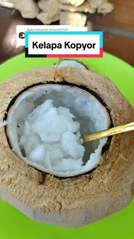Membalas @adriana181107 Review Kelapa Kopyor, ternyata beda sama kelapa pada umumnya ya .. ada yang pernah nyoba juga?  #kelapa #kelapakopyor #review #buah #zengarden #fyp #4u #trending 