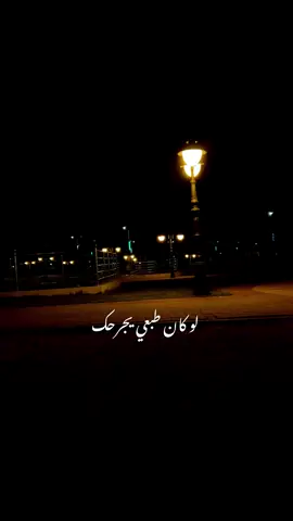 ابعتذر عن كل شيء يمكن يضيق خاطرك  لو كان طبعي يجرحك  ولاوجودي يزعجك  انا هنا قلبي  معك  والفكر مشغولن عليك  اهواك واشتاق لك  وانت الوحيد  اللي ابيه 