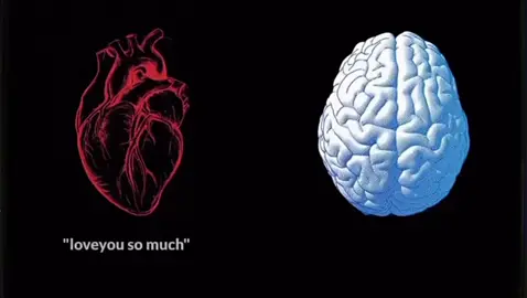 “Lý trí chẳng bao giờ thắng nổi con Tim..”#xuhuongg