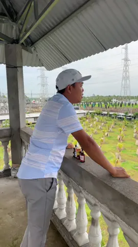 Chia sẻ niềm vui cùng TI nhanh tay nhấp vào chốt cho mình 1 bộ #traigaduyenti #ga #c1 #c2 #c3 #channuoi #traigaduyentilaycup #duyenti 