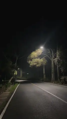 Ciwidey kalo malam setenang itu🥺