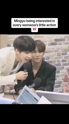 He just loves looking at his housemate a little too much 😌 and mimicking him too #svt #seventeen #wonwoo #jeonwonwoo #mingyu #mingyusvt #minwon #meanie #fyp #xh 