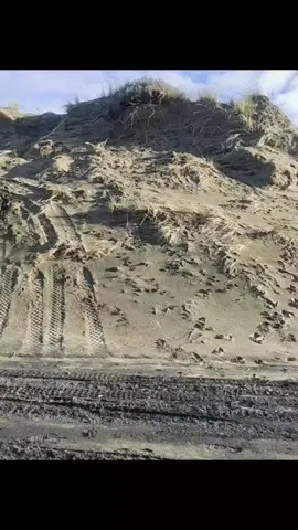 #videofunnytiktok #animal #funnypet #petlover 