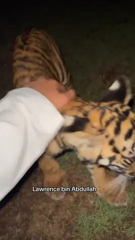 #لورنس_بن_عبدالله #fyp #foryou #explore 