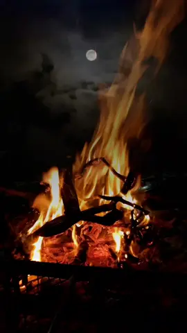 يا ليل سامرتك على شبة النار #محمد_النويرة #تصويري 