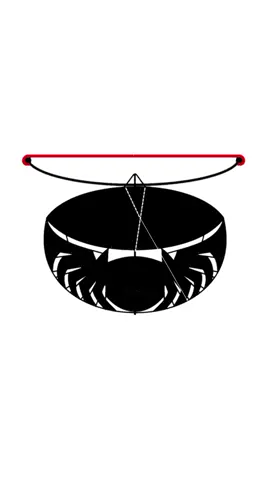 Black spiderr @Nuklir Tv  #fypシ #fyp #CapCut #rangkalayangan #rangkalayanganramraman #pegonceper #nuklirtv #ramraman #jj #trend 