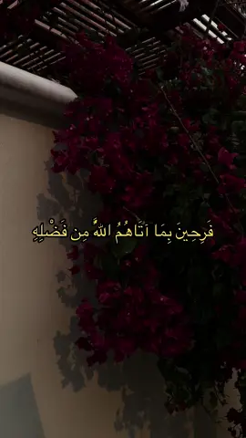 #قران_كريم #قران #فرحين_بما_اتاهم_الله_من_فضله 