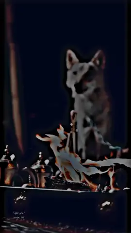 #ابيات_شعر #قصيد #شعر #جاسم_الطائي #قلمي ننسى الماضي وتتغير الاحوال 