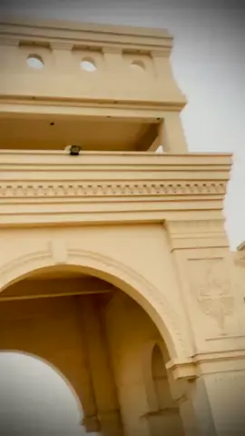 #today #bismalla #trending #bewafa #song #cricket #viral #horselover #foryoupage#blackbeauty #viralvideo #fypシ゚viral #fyppppppppppppppppppppppp #1000millonviews #unfrezzmyaccount 