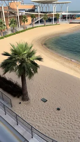 لي حبيب تعدّا غلا الروح🤍.. #الجبيل_الصناعيه #الشعب_الصيني_ماله_حل😂😂 #الجبيل_الان #ذا_موف 