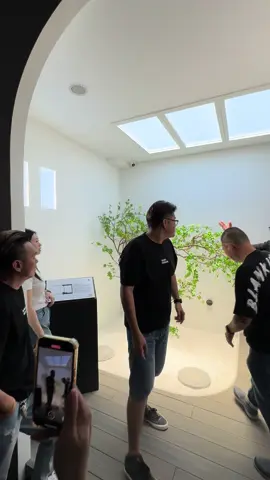 Experiencing skylight light fitting 