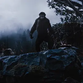 Crazy Aura // Caesar // Dawn of the Planet of the Apes // #fyp #foryou #planetoftheapes #caesar #aftereffects #edit #xyzbca #viral // @d3x @Laryx ♔ @Myxtern! @vogden.saint @𝗗𝗿𝗮𝘆𝘅𝘇 ✱ @p3dr0wfilms @14. @Fluzhi @adam @⚖️ ᴢɪɴᴇ 𝖂𝖊𝖘𝖙𝖑𝖎𝖓𝖉𝖊 🧪 @꒒ꀭꁅ @💫🟤 @Camyouse @Damian/Demo @fw.gabrii 