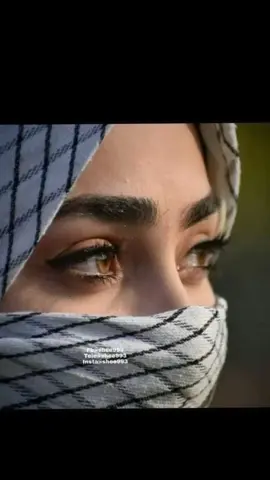 #CapCut #صالح_السبعاوي_جوزوه_مورضيانه_مغصووبه #صالح_السبعاوي_اله_نتعنه_لشوفتكم #صالح_السبعاوي_صاحت_ندمانه #صالح_السبعاوي_روحي_يلصرتي_بعيده #صالح_السبعاوي #صالح_السبعاوي_سنين_هجرك #صالح_السبعاوي_اغثيت_الخلك #عبود_السبعاوي_🤞☠️ 