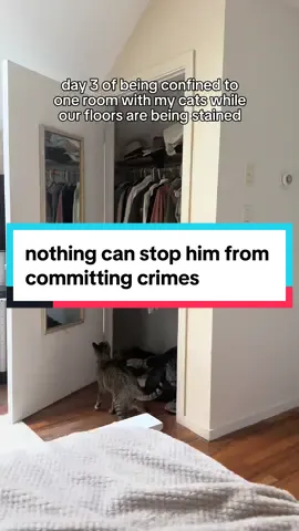 at least he didn’t let the current situation stop him from being a problem