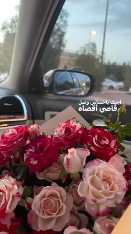 🤍🌸  #محلى_اللقى #ماجد_المهندس #اكسبلور #الورد 