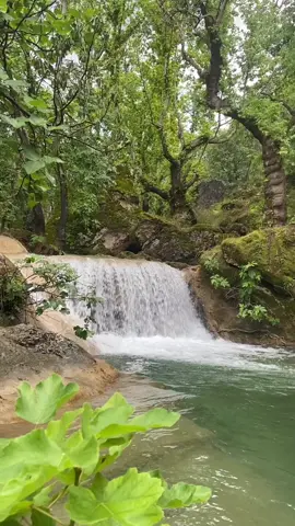 #picnicdate #picnictime #kurdistan #barzan #zoragvan #galizoragvan #mood #nature #waterfall #tiktok #explore ☘️