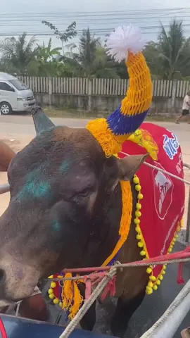 โหนดเทพราชาวานร(ไซอิ๋ว)#ไม่ใช่การทารุนกรรมสัตว์❤🐓 