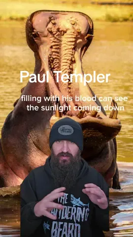 In March, 1996 a tour group was paddling down the Zambezi river when they came upon a group of one of the most dangerous animals in Africa. What happened next is so incredible and terrifying that it's almost hard to believe. #truestory #storytime #tragedy #animals #truecrime #horror #africa #river #Outdoors #attack #CapCut 
