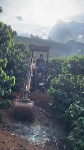 #miniescavadeira🚜 #terraceamento #lavouradecafe 