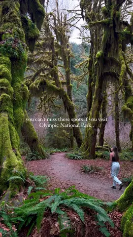 Don’t miss these must-see spots in Olympic National Park! 🌲⛈️ Staying stylish and comfy is a must for my adventures, and @Wondery Outdoors always has me covered! Just got my hands on their new spring collection, and I’m absolutely obsessed - perfect gear for every adventure! [ad] 🧥: Salton Packable Windbreaker  👖: Morongo Trail Pant use my code naty20 for 20% OFF on your next purchase 👀 #ad #olympicnationalpark #olympicpeninsula #usatravel 