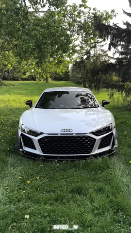 R8 x Nature #audi #r8 #audir8 