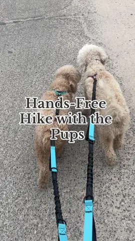 Hand-Free Dog Leash. This thing makes going off-road with my dogs waaaayyy more comfortable. Theyre long enogh so youre not kicking their herls, but the extra handle give you control when you need it. Check them out in our shop!!#camping #Hiking #Outdoors #adventure #tipsandtricks #TikTokShop 