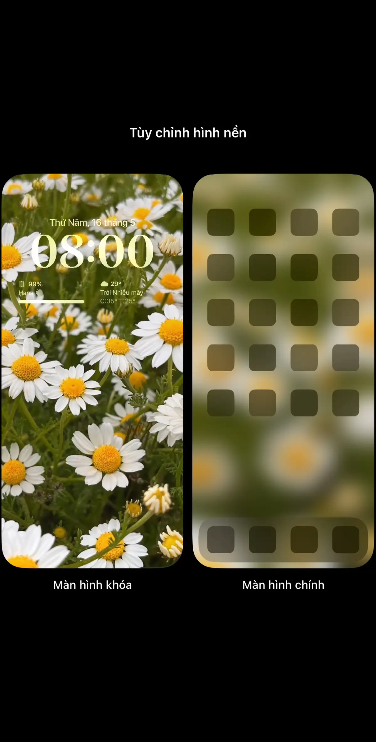 Cúc Hoạ Mi 🌼🌼🌼 #wallpaper #hìnhnền #hìnhnềnđiệnthoại #xh #xuhuong #hoa #cuchoami #flowers 