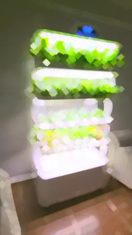 Torre hidroponica EcoHydro PRO 🌱 Lleva tu cultivo al siguiente nivel, con este sistema hidropónico podrás cultivar todo el año⛈️🌞🌧☁️ sin importar el clima. Además, tu cosecha estará lista entre 6 a 8 semanas 👨🏻‍🌾 ¿Y tú? Qué esperas para unirte a EcoHydro 🌱💧 #huertourbano #huerto #huerta #huertas #agricultura #hidroponico #hidroponia #hidroponic #agua #sustentable #huertoencasa #huertovertical #CapCut 