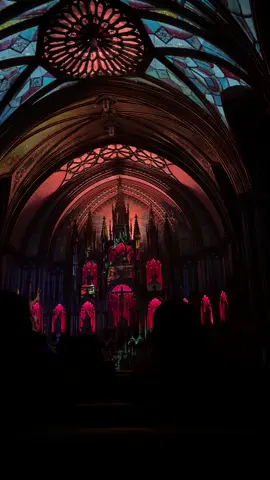 Basilique Notre Dame de Montreal - Aura show. #aura #basiliquenotredamedemontreal #montreal #vieuxmontreal 