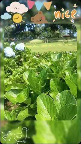 @selecta, batu. mari ng-abisin duit, sblum duitnya bner bner abiss... 