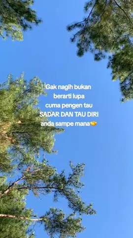 😎 #quotestory #storytime #videoviral #fyp #utangdibayar #bayarutangwoyyy 