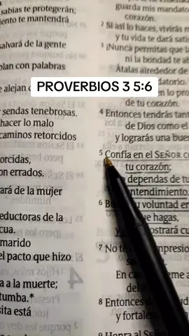 #salmos #proverbios #dios #todolopuedoencristoquemefortalece #diosesamor #jesus #biblia #versiculosbiblicos #eclesiastes #leamoslabiblia #palabradedios 