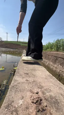 🐌🐌🐌🐌🐌 #snail #egg #asmr #satisfying #relax #trending #xuhuong #remove #reels 