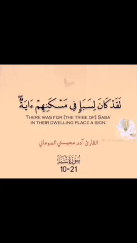 #سباء #ارض_طيبه #القران_الكريم 