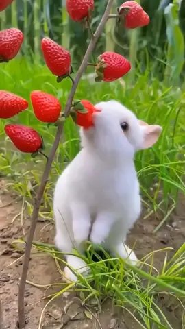 #uk #tranding #faryou_tiktok_viral_video_faryour_page #vairalvideo #fyp #beauty #natural #ukunitedkingdom🇬🇧 