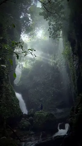 🌊 Shhh... Walet waterfall in Bogor, West Java, is the hidden gem for water sound enthusiasts! 🎧💦 📍Walet Waterfall, West Java 🎥 cr/ig @at.thurr  #WonderfulIndonesia #WonderfulJourney #CurugWalet #HiddenWaterfall