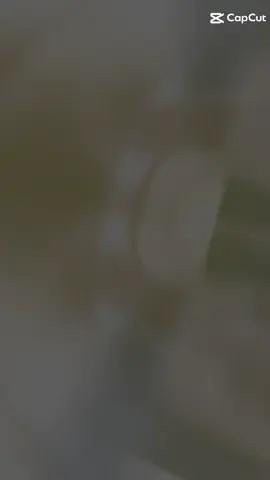 #86bìnhthuận #🥰🥰🥰 #mãi_yêu 