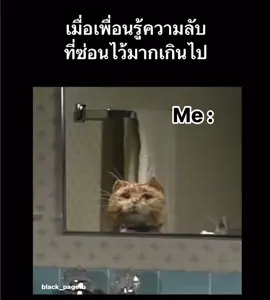 ขอโทษนะเพื่อนแต่มันจำเป็น #เพื่อนแท้ #มีมตลกๆ #เธรดความรู้สึก🖤🚷✨ #สตอรี่ความรู้สึก💌🌻🌻 #แชร์ได้น้าาาา #ดันฟีดดด💗🙏