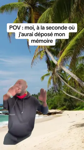 Bon courage à tous ceux qui travaillent sur leur mémoire ! 💪 #humor #meme #memoire @Silver RG 