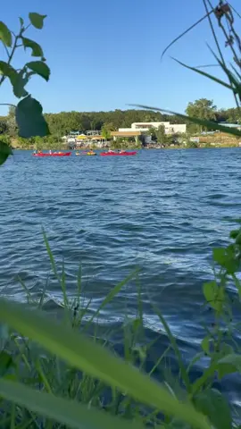 #النمسا_فيينا🇦🇹 